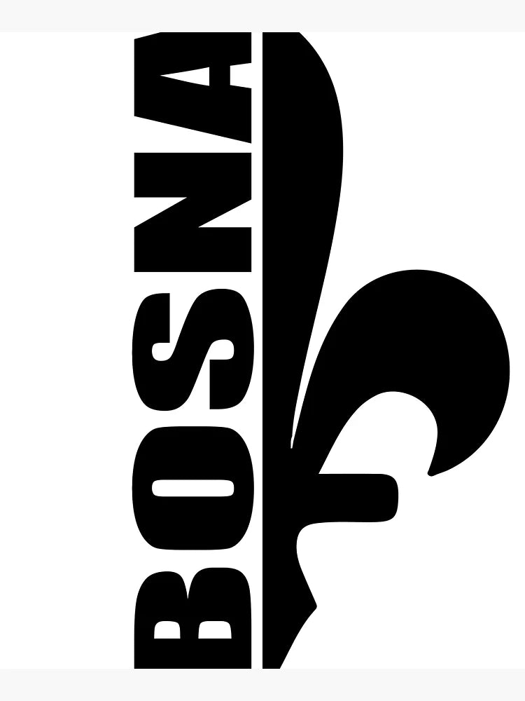 BOSNIA 2.0